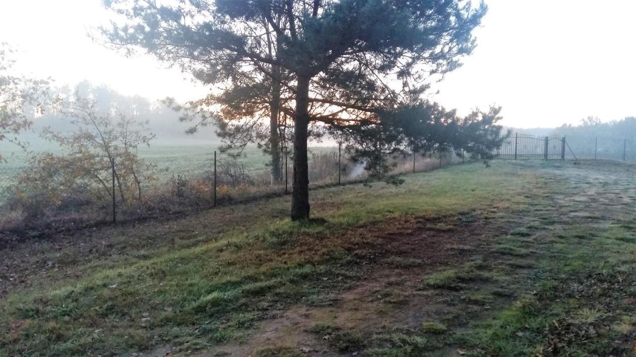 Willa Kraniec Swiata - Tylko Dla Ciebie - Zachwyca Krajobrazem, Regeneruje Cisza I Komfortem Boleslawiec  Exterior foto